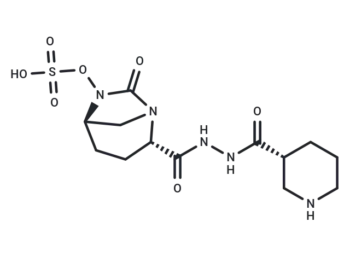 Zidebactam