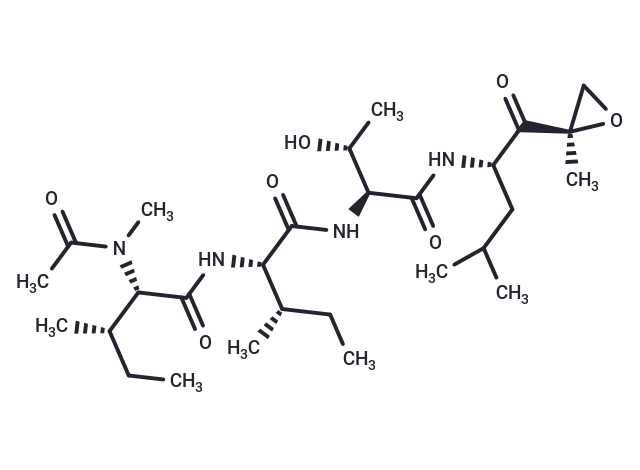 Epoxomicin Epoxomicin