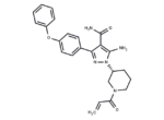 Btk inhibitor 2
