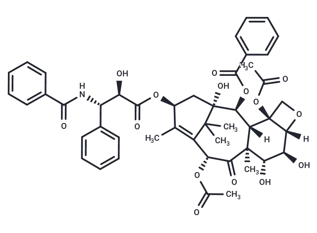 6α-hydroxy Paclitaxel