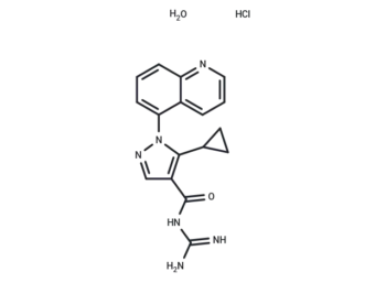 Zoniporide hydrochloride hydrate