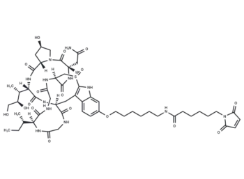 Mal-C6-α-Amanitin