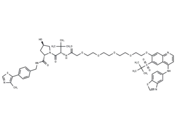 PROTAC RIPK degrader-2