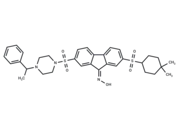 YAP/TAZ inhibitor-1