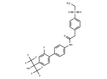 XY101