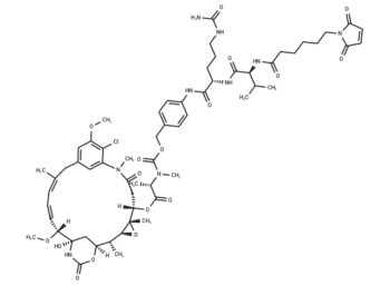 Mal-VC-PAB-DM1