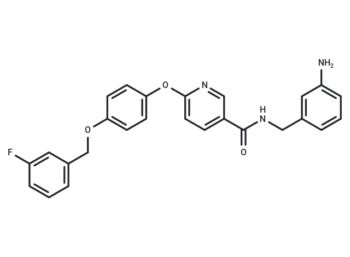 YM-244769