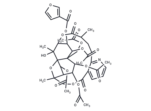 Wilforgine CgoaEGayObSEF3lsAAAAAKdWp7Y938- Immunomart