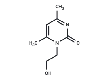 Xymedon