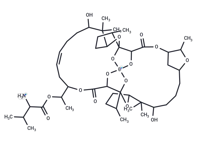 Boromycin