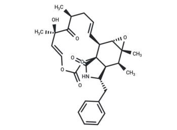 Cytochalasin E