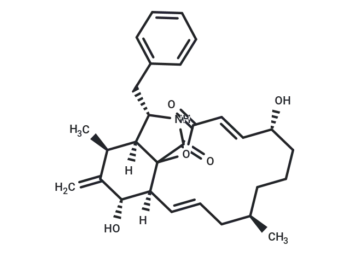 Cytochalasin B