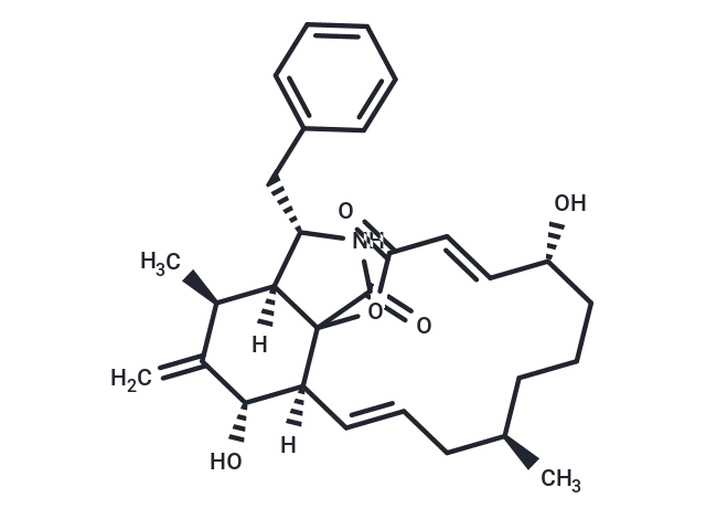 Cytochalasin B