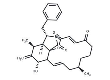 Cytochalasin A