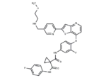 Sitravatinib