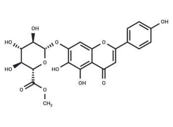 Scutellarin methyl ester