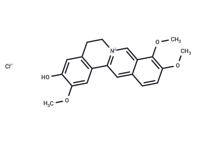 Jatrorrhizine chloride