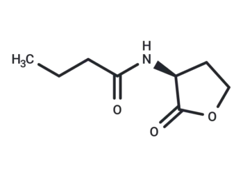 N-Butanoyl-L-homoserine lactone