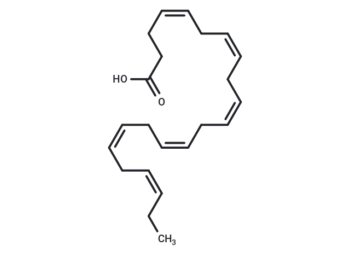 Docosahexaenoic Acid