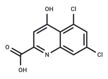 5,7-Dichlorokynurenic acid