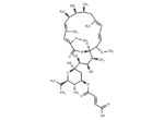 Bafilomycin C1