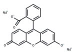 Fluorescein Sodium