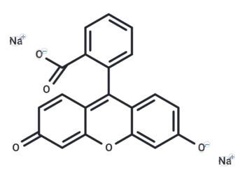 Fluorescein Sodium