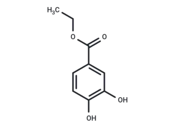 Ethyl 3,4-dihydroxybenzoate