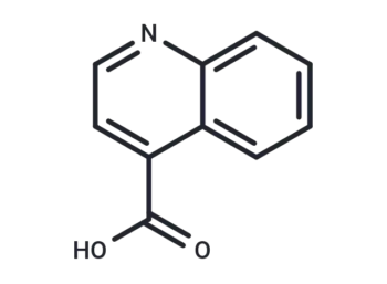 4-Carboxyquinoline