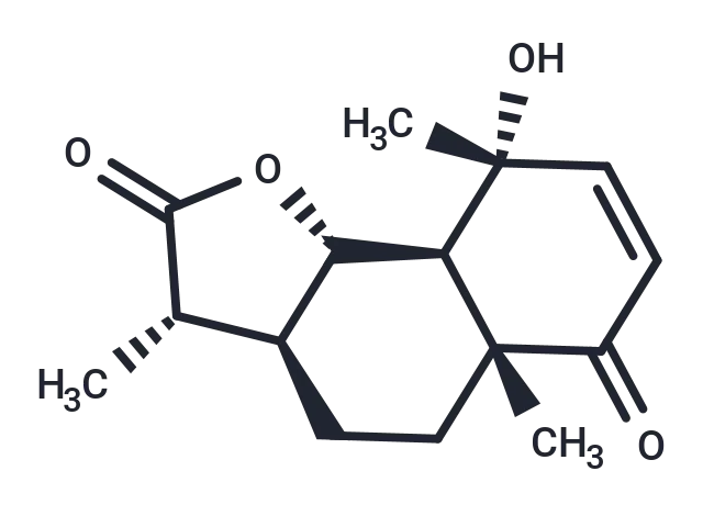 Vulgarin CgoaEGaySWWELqsLAAAAAMKlpBY029- Immunomart