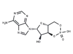 Cyclic AMP