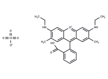 Rhodamine 19 perchlorate