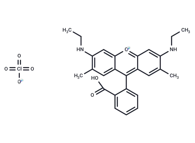 Rhodamine 19 perchlorate