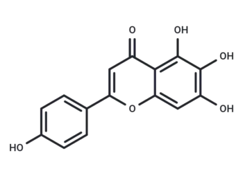 Scutellarein