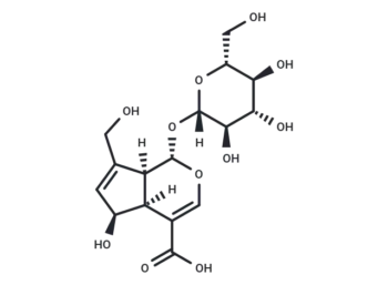 Deacetylasperulosidic Acid