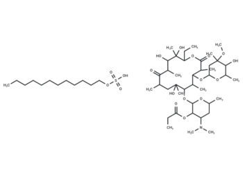 Erythromycin estolate