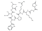Xenopsin