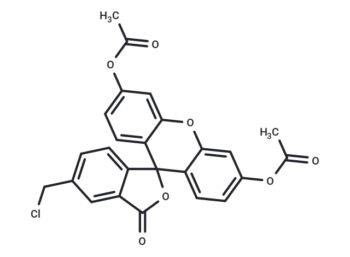 CMFDA