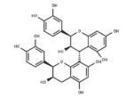 Procyanidin B2