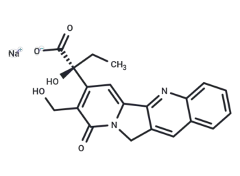 Sodium Camptothecin