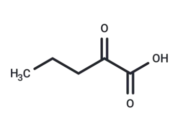 2-Oxovaleric acid