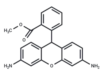 Dihydrorhodamine 123