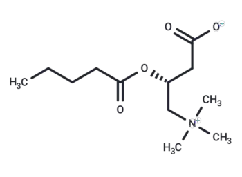 Valerylcarnitine