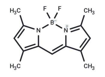 BODIPY 505/515