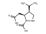 Dihydrokainic acid