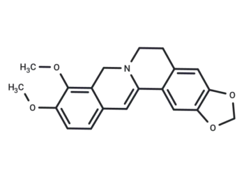 Dihydroberberine