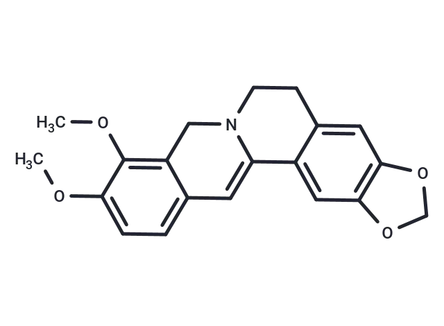 Dihydroberberine