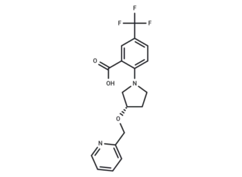 XEN445