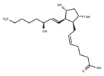 8-Isoprostaglandin F2α
