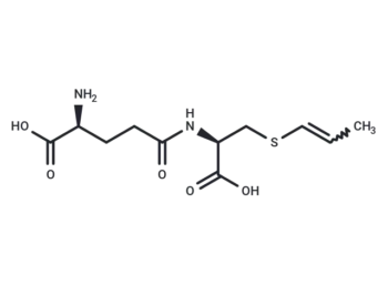 γ-Glutamyl-S-1-propenyl cysteine